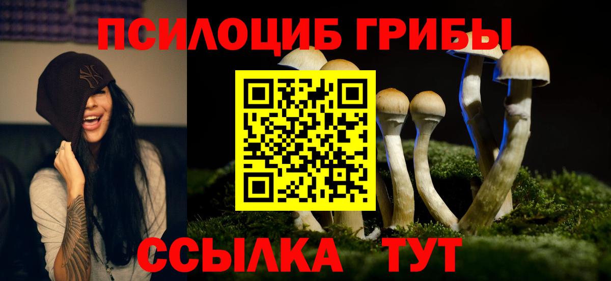 Кропоткин  Галлюциногенные грибы MAGIC MUSHROOMS  закладки  Галлюциногенные грибы GOLDEN TEACHER  Вход с VPN 